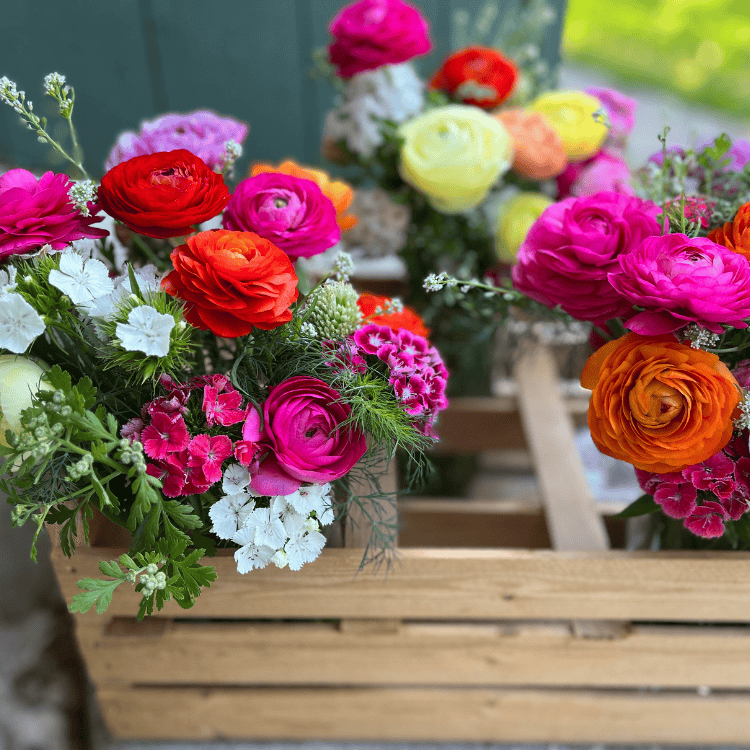 Bright Floral Delivery Rannunculus